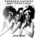 The Pointer Sisters - Hot Together (Niemi Afro House Remix)
