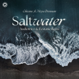 Chicane Feat. Moya Brennan - Saltwater (Audiotricz & Ecstatic Remix) (Extended Mix)