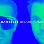 Sonny Wern & TIM PLVNK - Bamboleo (Extended Mix)