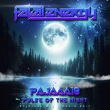 Pajaaa18 - Pulse Of The Night (Extended Mix)