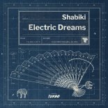 Shabiki - Pulse & Drive (Extended Mix)