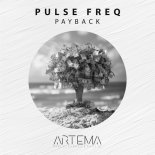 Pulse FreQ - Payback (Extended Mix)