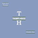 KAOS DJ & THUMPA - Cloudy Day