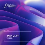 Dark Lilium - Vision (Original Mix)