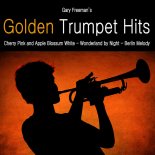 Gary Freeman - Ave Maria