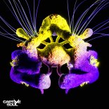 TH;EN & Carlo Whale - Fragments of Light (Original Mix)