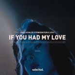 Paul Schulze x Funkenstein x Levii - If You Had My Love