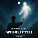 Bluestylez - Without You (Extended Mix)