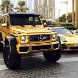 Ömer Said - GOLD