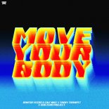Dimitri Vegas & Like Mike, Timmy Trumpet, Sub Zero Project - Move Your Body