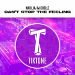 Nari, Dj Michelle (IT) - Can't Stop the Feeling