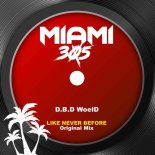 D.B.D WoelD - Like Never Before (Original Mix)
