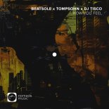 Beatsole & Tompsohn & DJ Tisco - How You Feel (Extended Mix)