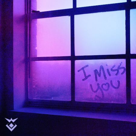DJ Stuiter - I Miss You (Acapella)