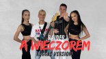Raider - A Wieczorem 2025 (Reggae Version)