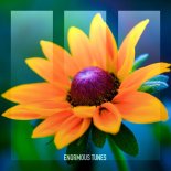Daniel Portman - Ivory (Extended Mix)