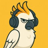 in hoode - Cockatoo