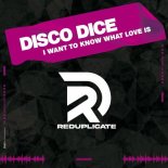 Disco Dice - I Want to Know What Love Is (Extended Mix)