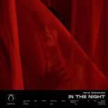 FAVIA & Banghook - In The Night