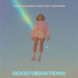 Tensnake & Bobby Harvey Feat. Sarah Bird - Good Vibrations (Extended Mix)