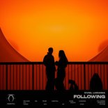 VIVNS & Larianna - Following