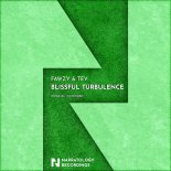 FAWZY & Tev - Blissful Turbulence (Original Mix)