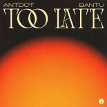 Antdot, Bantu - Too Late