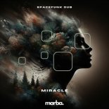 Spacefunk Dub - Miracle (Original Mix)