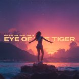 PACANI, Daytune & Miro k - Eye of the Tiger