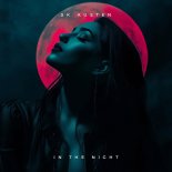 SK Austen - In the Night