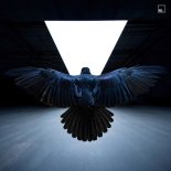 Sian, Bobby Nourmand - The Language