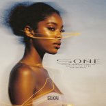 Shera & Damante & Cumbiafrica - Soñé (Extended Mix)