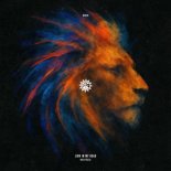 Nico Falla - Lion In My Head (Extended)