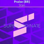 Praise (BR) - Hotstepper (Original Mix)