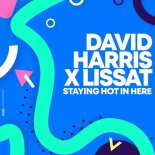 David Harris, Lissat - Taying Hot in Here (Nu Disco Mix)