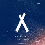 AnAmStyle - Te Sigo Esperando (Original Mix)