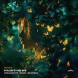 Dreamdope, bonö & mirtonik - Haunting Me