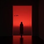 MVGMA - Red Sky