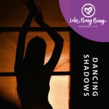 DJ Hardhome - Dancing Shadows (Original Mix)