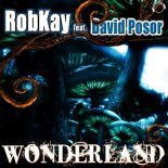 Robkay Feat. David Posor - Wonderland (Solo Beat Project Bootleg)