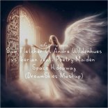 Sam Fletcher vs Andre Wildenhues vs Iberian feat. Poetry Maiden - Space Hideaway (DreamSkies Mashup)