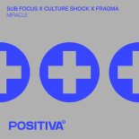 Sub Focus & Culture Shock Feat. Fragma - Miracle (Extended Mix)