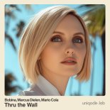 Bobina, Marcus Dielen & Mario Cola - Thru The Wall