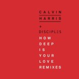 Calvin Harris & Disciples Vs. Astero - How Deep Is Your Love (Artem Spy Mashup)