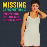 Everything But The Girl, Todd Terry - Missing (DJ Prophet Remix)