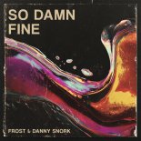 Frost & Danny Snork - So Damn Fine