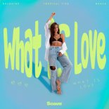 Goldaine & Tropical Tide & Menza - What Is Love