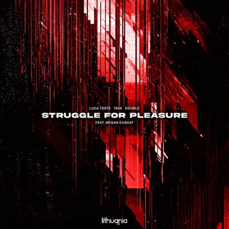 Luca Testa, Tava, Double, Megan Kashat - Struggle For Pleasure