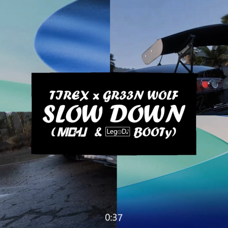 TIREX x GR33N WOLF - SLOW DOWN (MICHU & LegoDJ BOOTy) 2025 🏎🔥