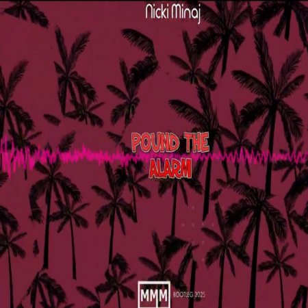 Nicki Minaj - Pound The Alarm (MoovMeMat REMIX)